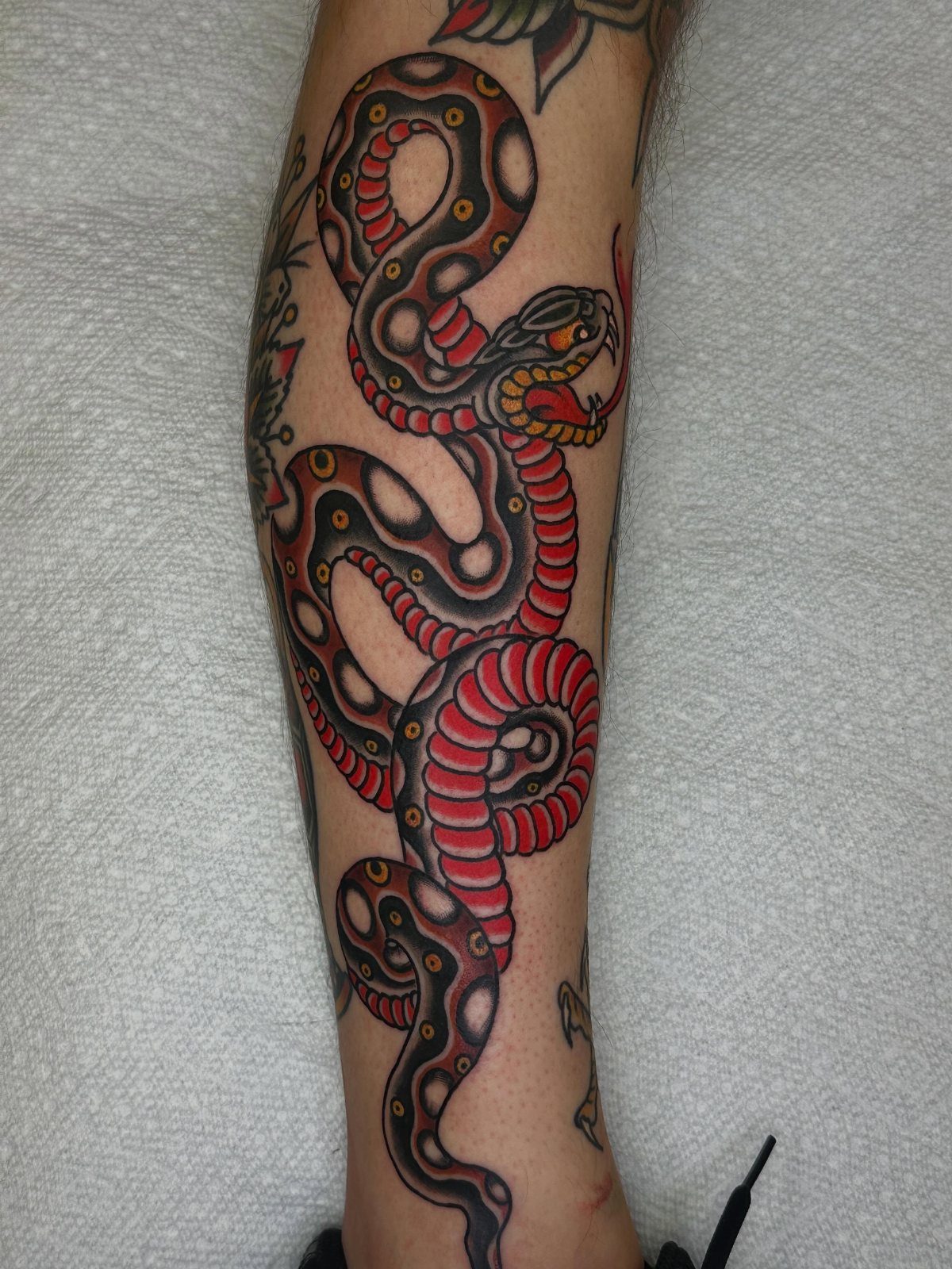 Coiled snake tattoo in American traditional style with bold outlines and red shading.