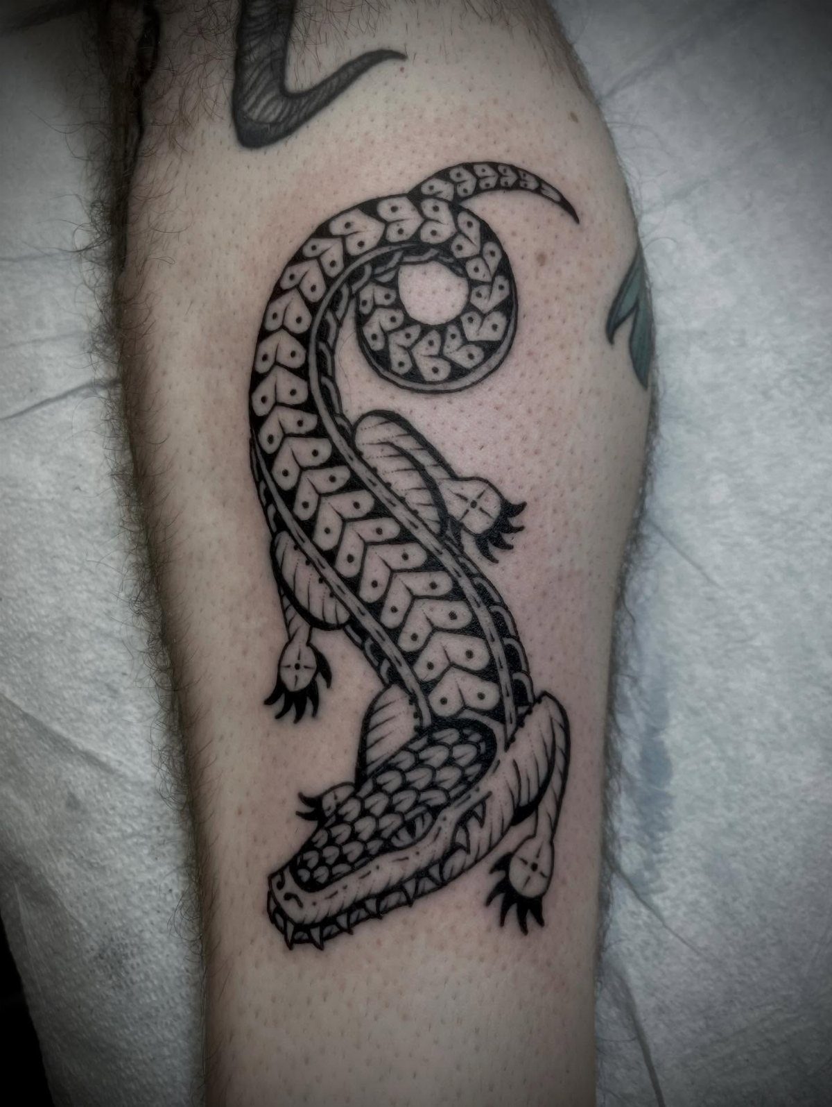 Stylized crocodile tattoo with geometric patterns and a curled tail on human skin.