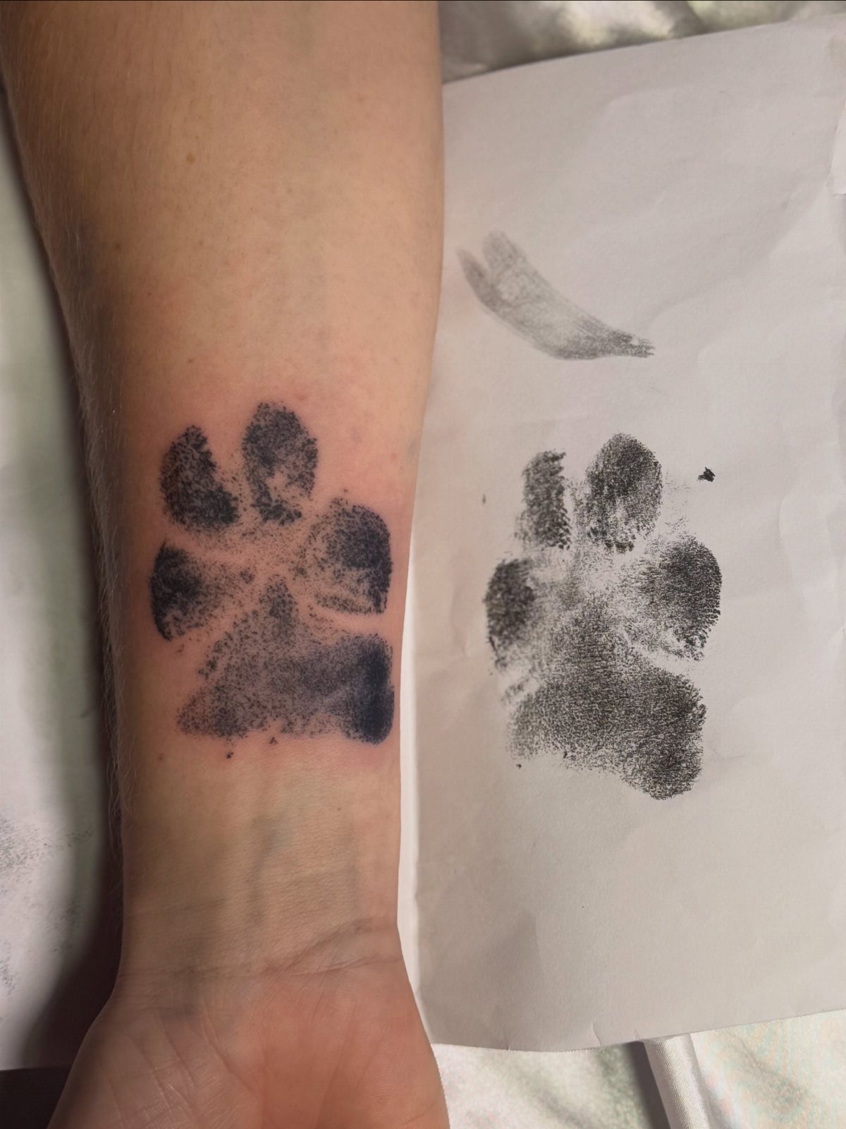 Dog paw print tattoo on a wrist next to the original ink print.
