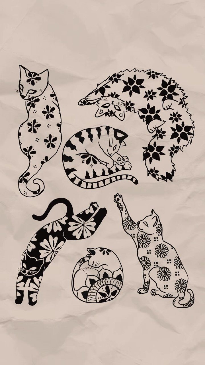Six black ink cat drawings with floral patterns on wrinkled beige paper