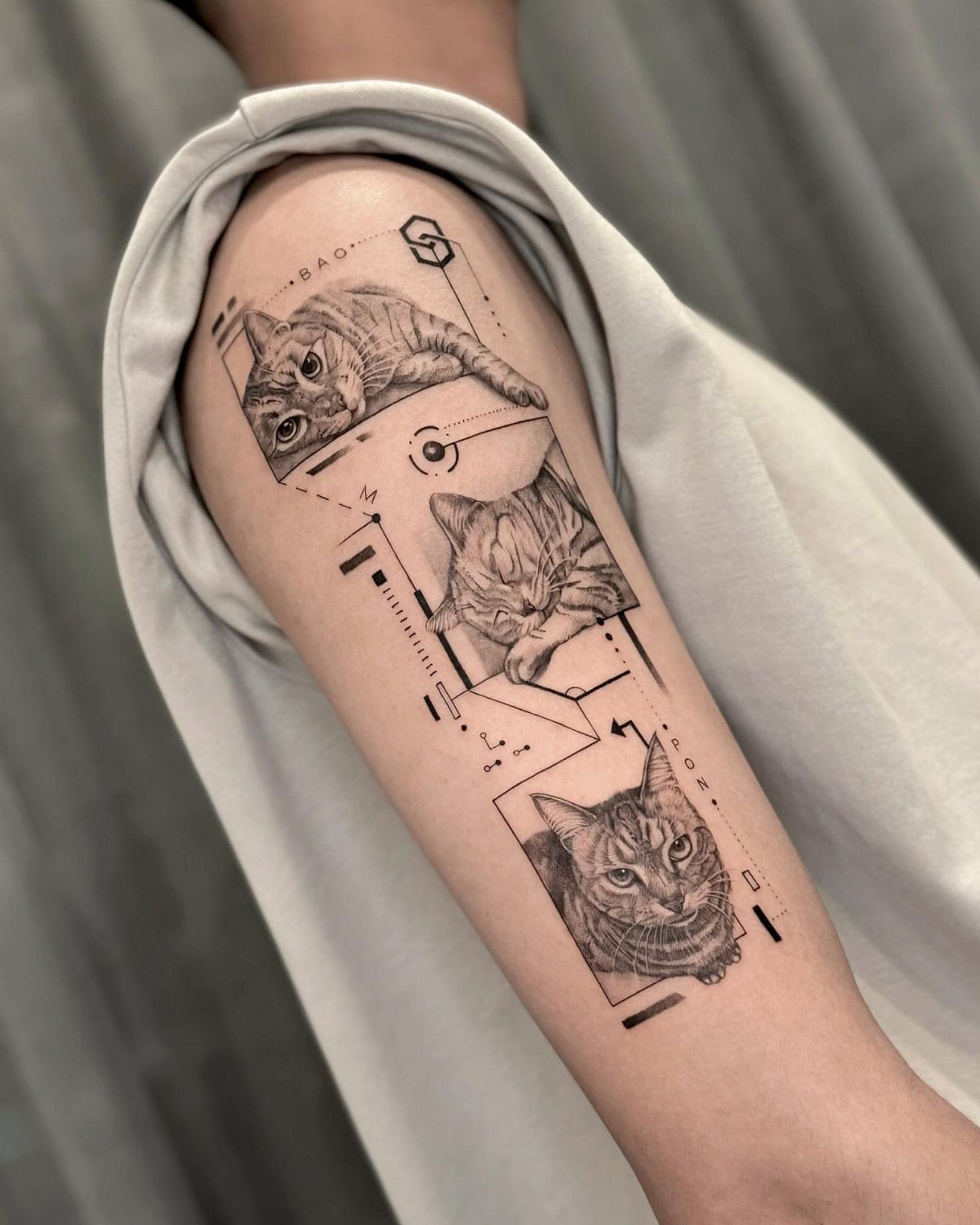 Three realistic cat faces framed by geometric lines tattooed on a person's forearm.