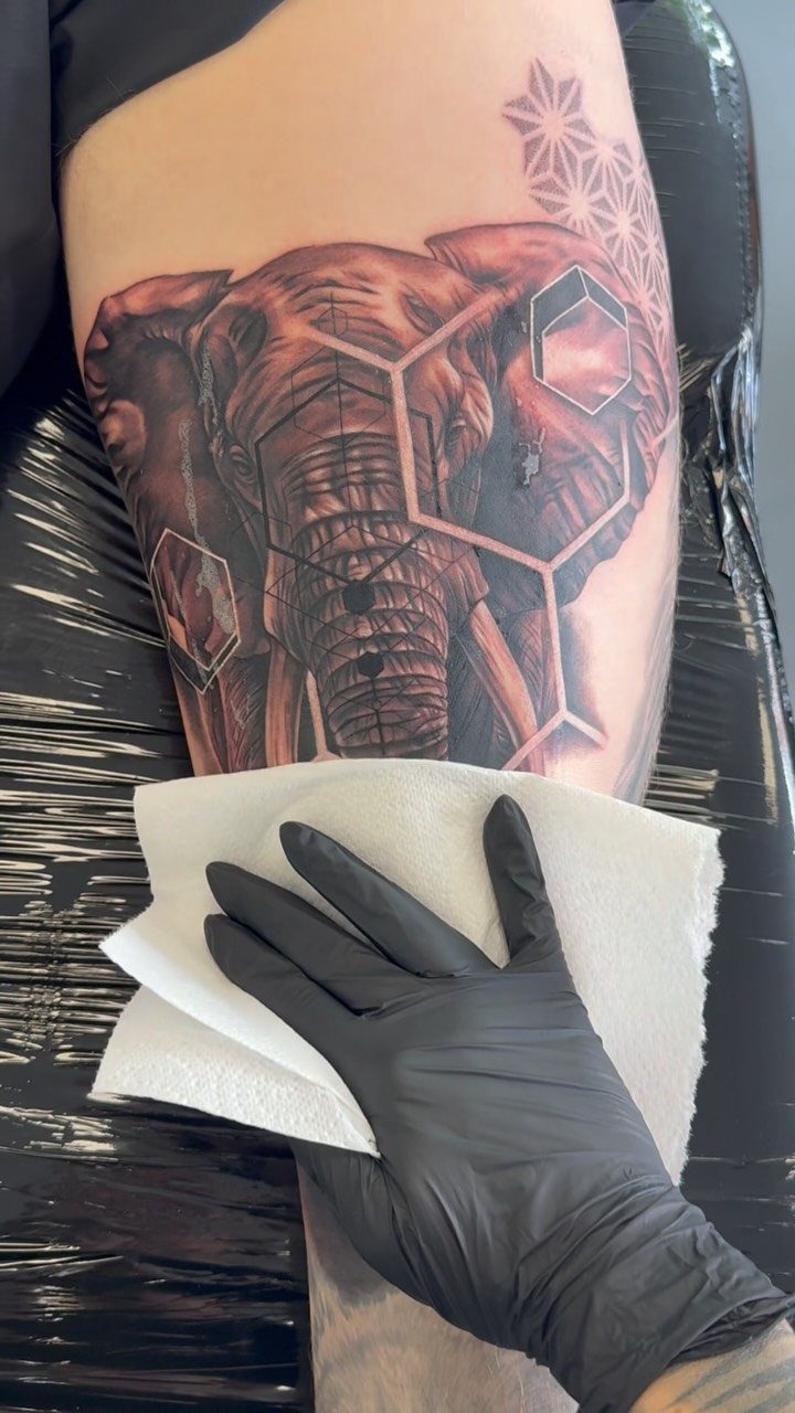 Realistic elephant tattoo with geometric hexagonal overlays on a person's leg.
