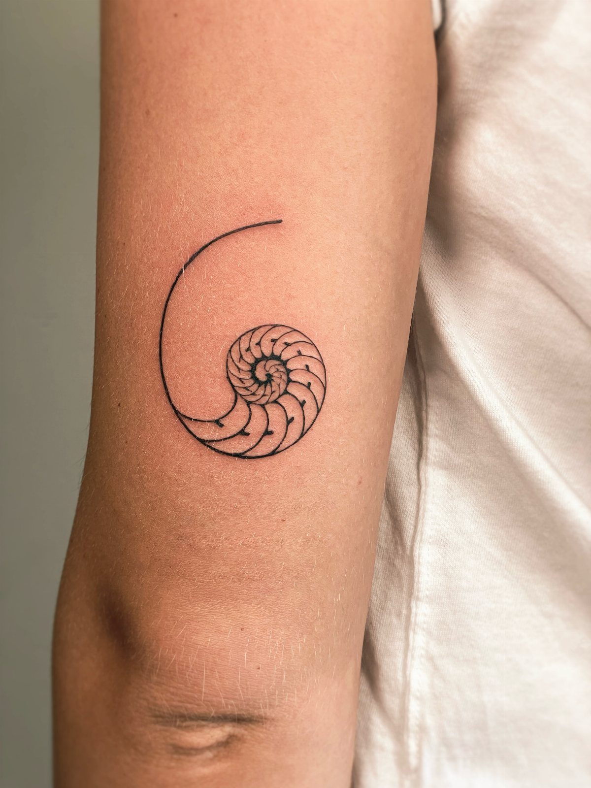 Geometric nautilus shell spiral tattoo in black ink on a person's upper arm.