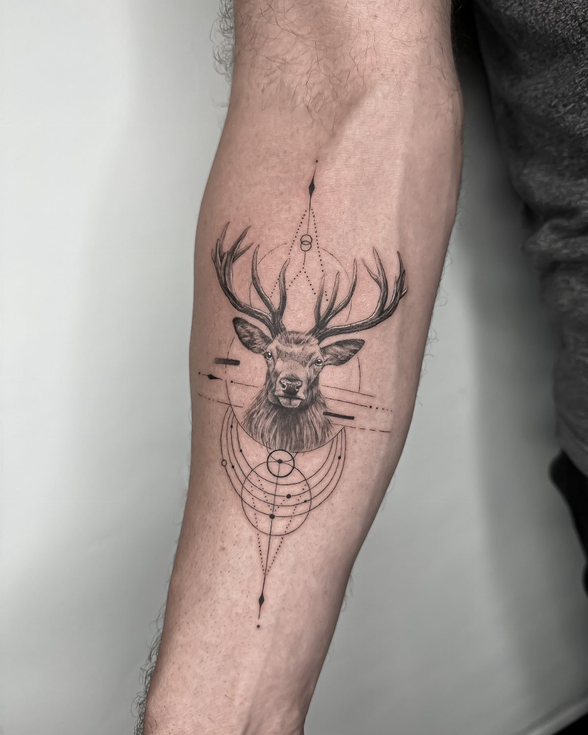 Stag head tattoo with geometric lines and circles on a person's forearm.