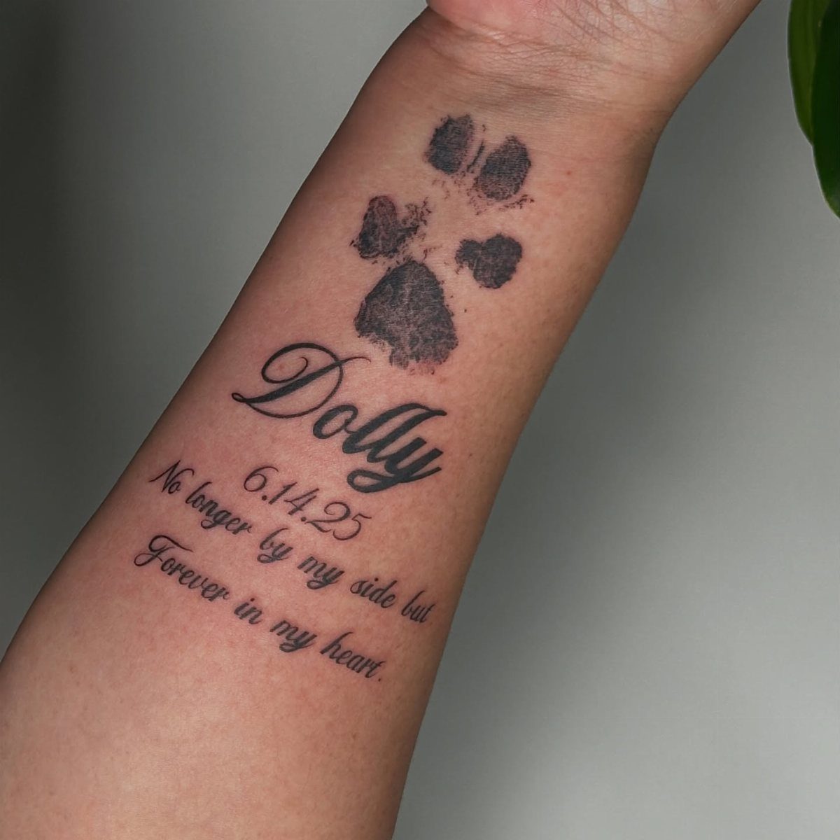 Memorial dog tattoo on forearm with paw print, name Dolly, and a date.