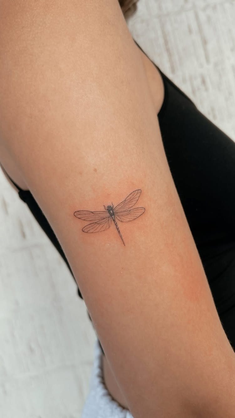 Small minimalist dragonfly tattoo with fine black lines on a person's upper arm