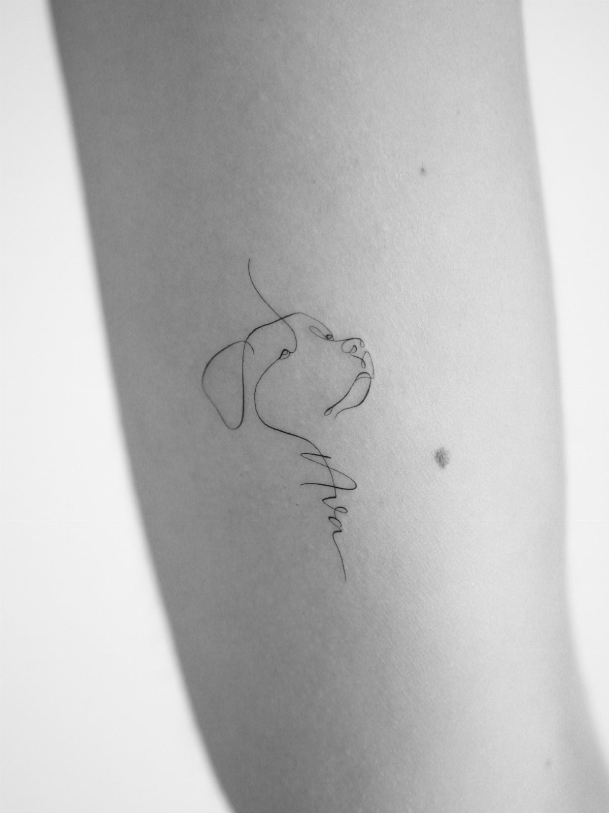 Minimalist fine line tattoo of a dog profile with a cursive name on skin.