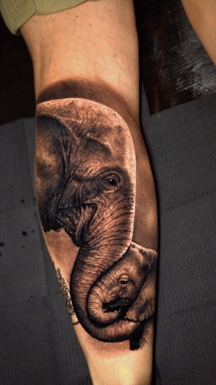 Realistic black and grey tattoo of an adult elephant and baby elephant on a leg.
