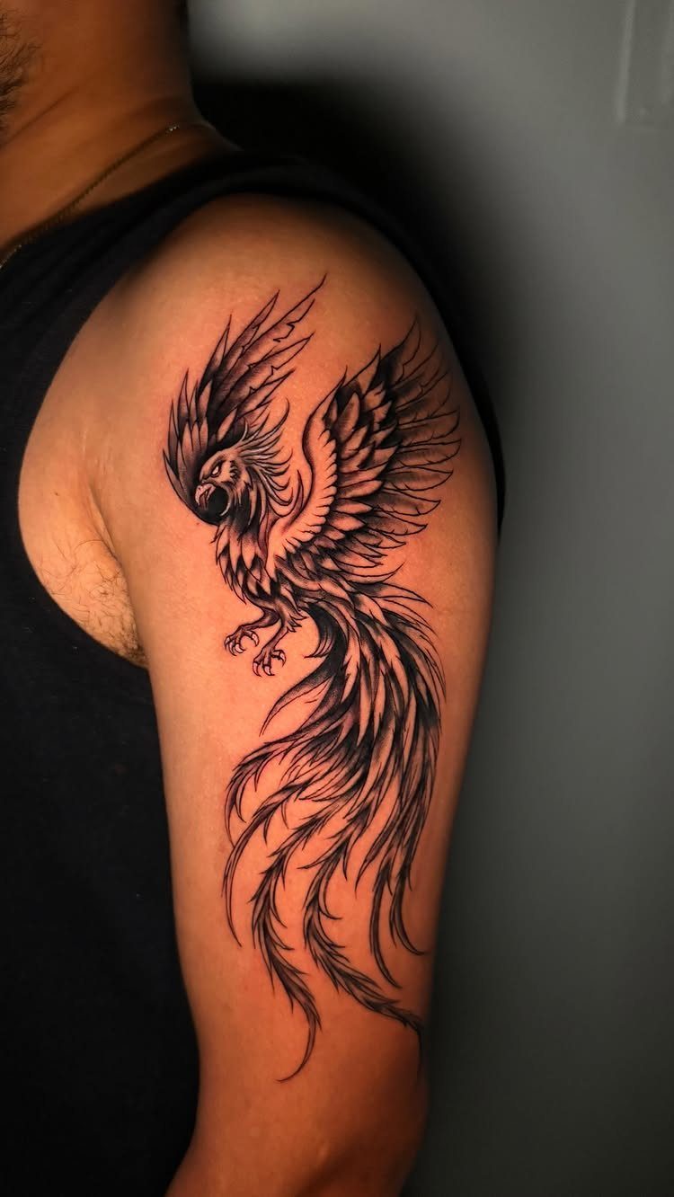 Phoenix tattoo with detailed wings and long tail on a person's upper arm.