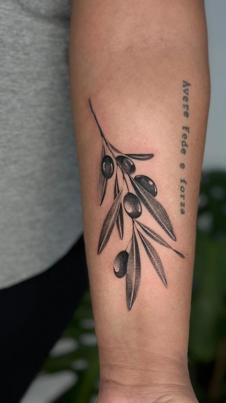 Olive branch tattoo with olives and Italian text on a person's forearm