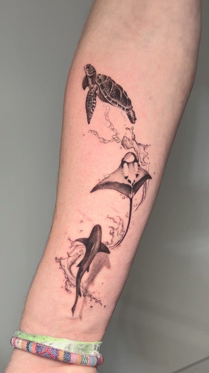 Sea turtle, stingray, and shark tattoos on a forearm with water splash details.