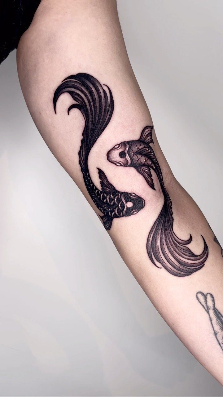Two koi fish tattoo in a circular yin yang shape on a forearm