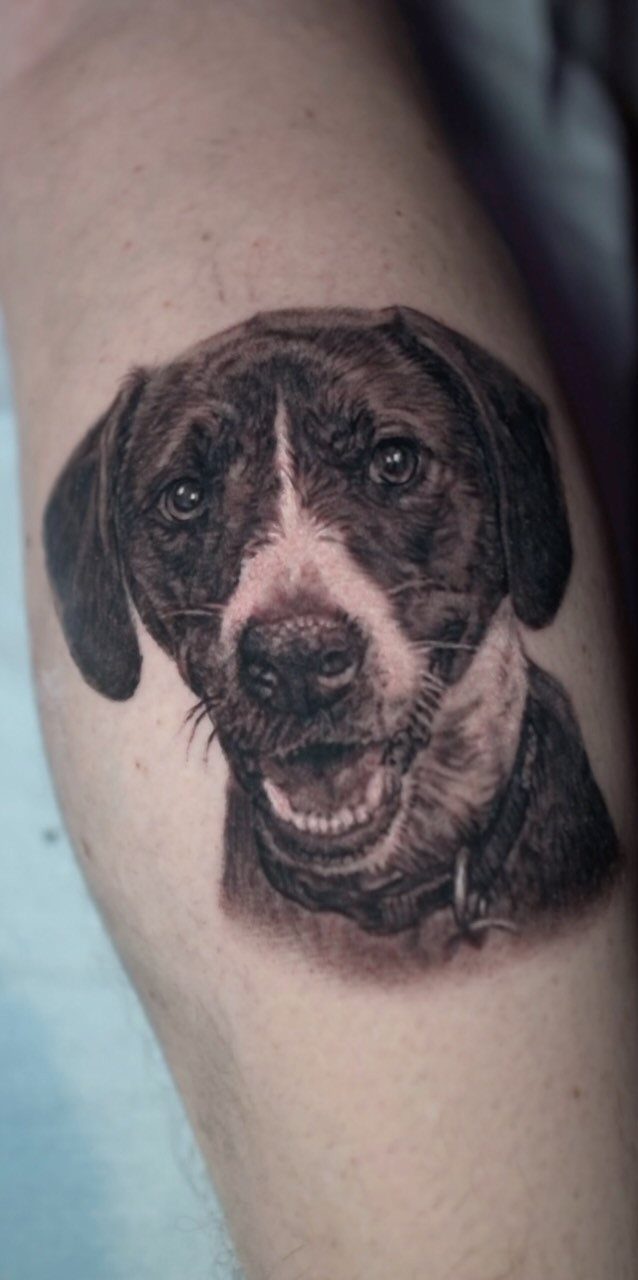 Detailed black and grey portrait tattoo of a dog on a person's arm