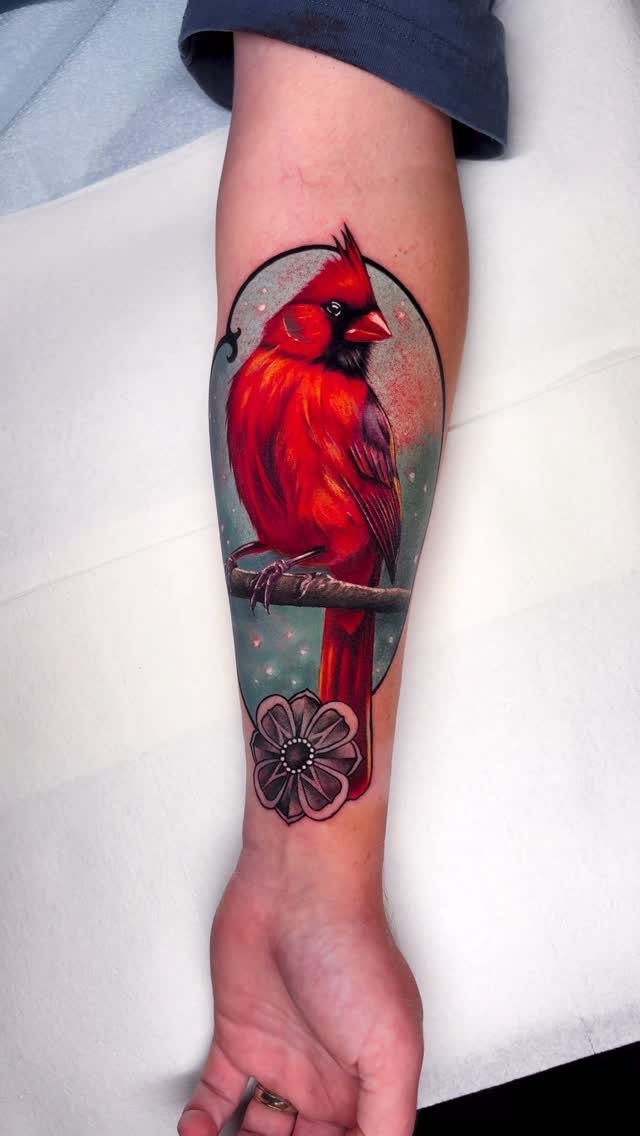 Red cardinal bird tattoo on a forearm with a blue circular background.
