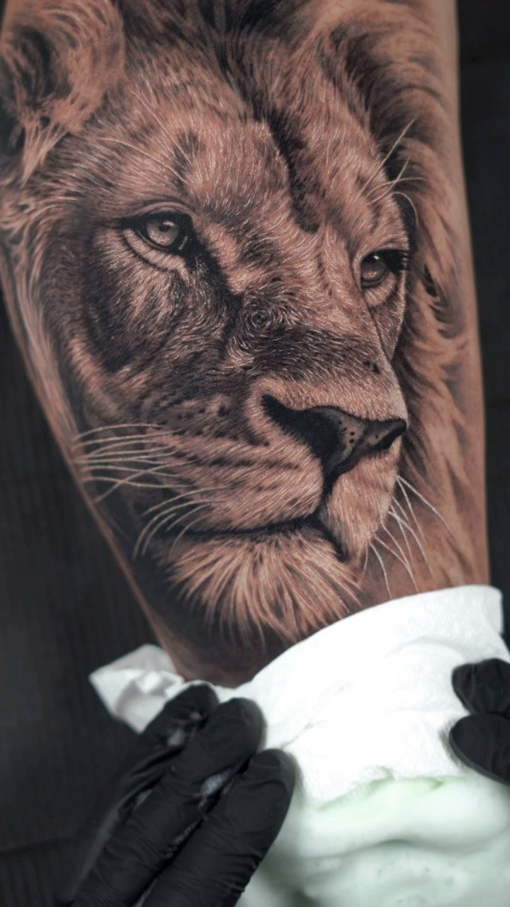 Realistic lion face tattoo in black and grey ink on human skin.