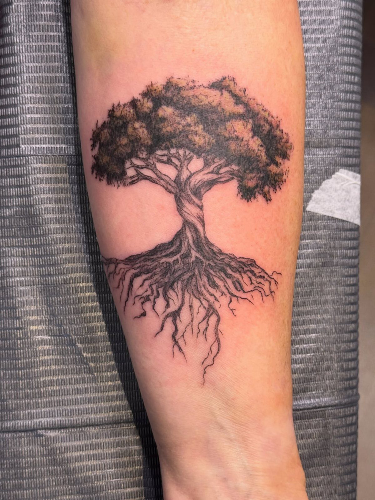 Tree of life tattoo with detailed roots and canopy on a forearm