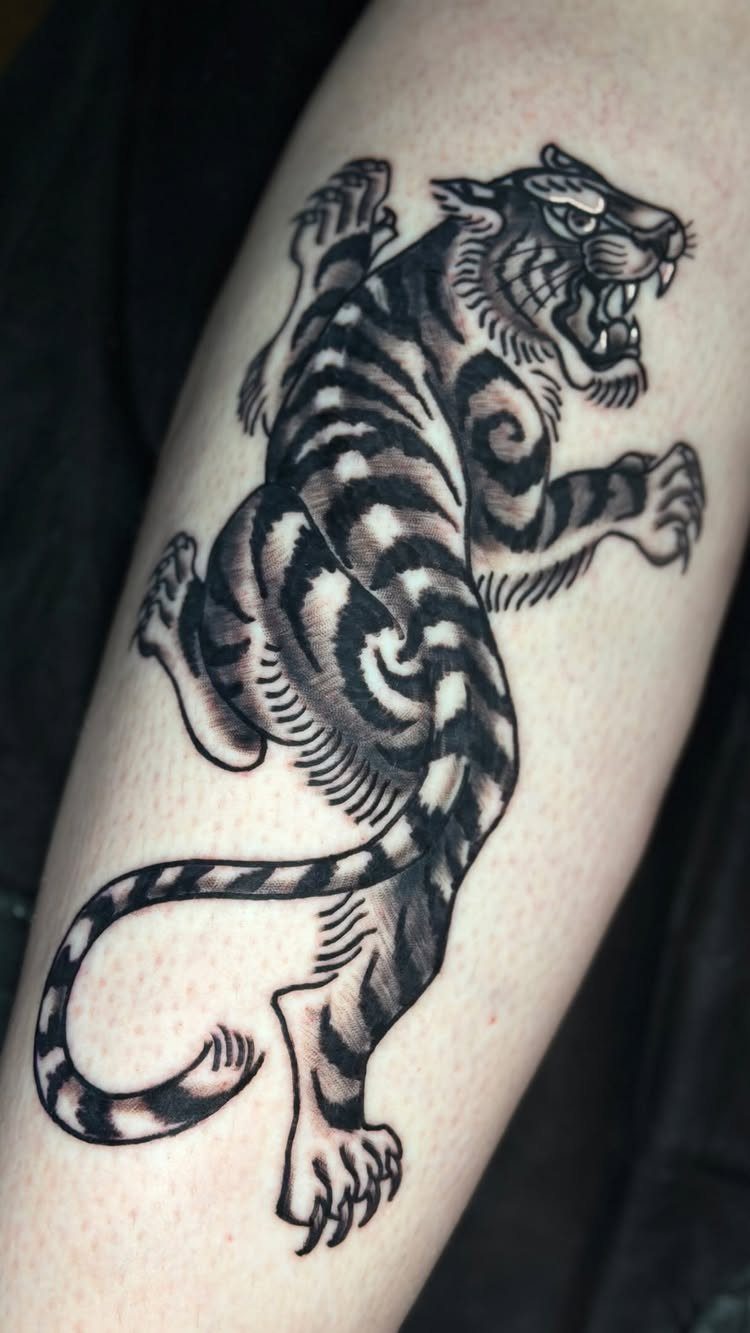 Leaping tiger tattoo with bold black outlines and grey shading on skin