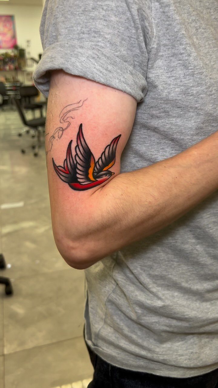 Traditional swallow tattoo with bold outlines and red accents on a person's arm.